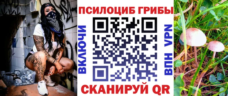 Псилоцибиновые грибы прущие грибы  Купить  Южно-Сухокумск 